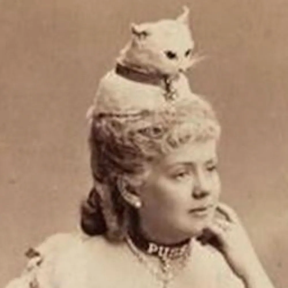 cyclismo37a.bsky.social's profile picture