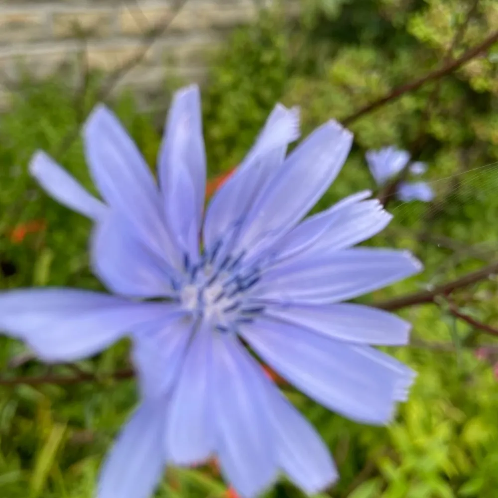 birdonthewire3.bsky.social's profile picture