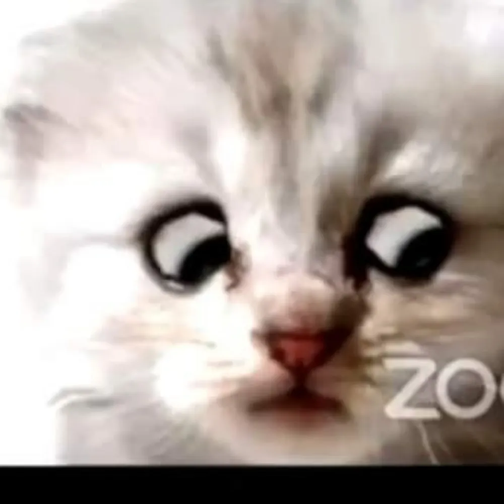 miestro78.bsky.social's profile picture