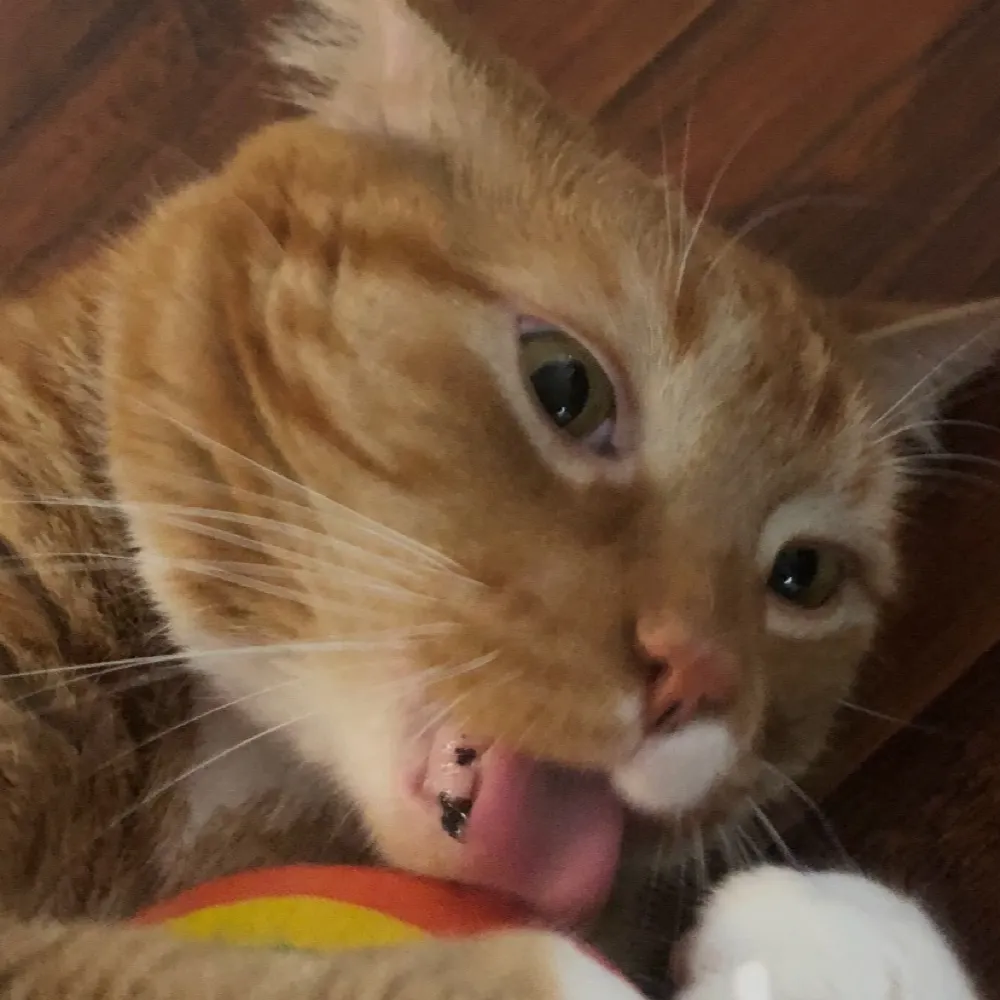 tsmith81.bsky.social's profile picture