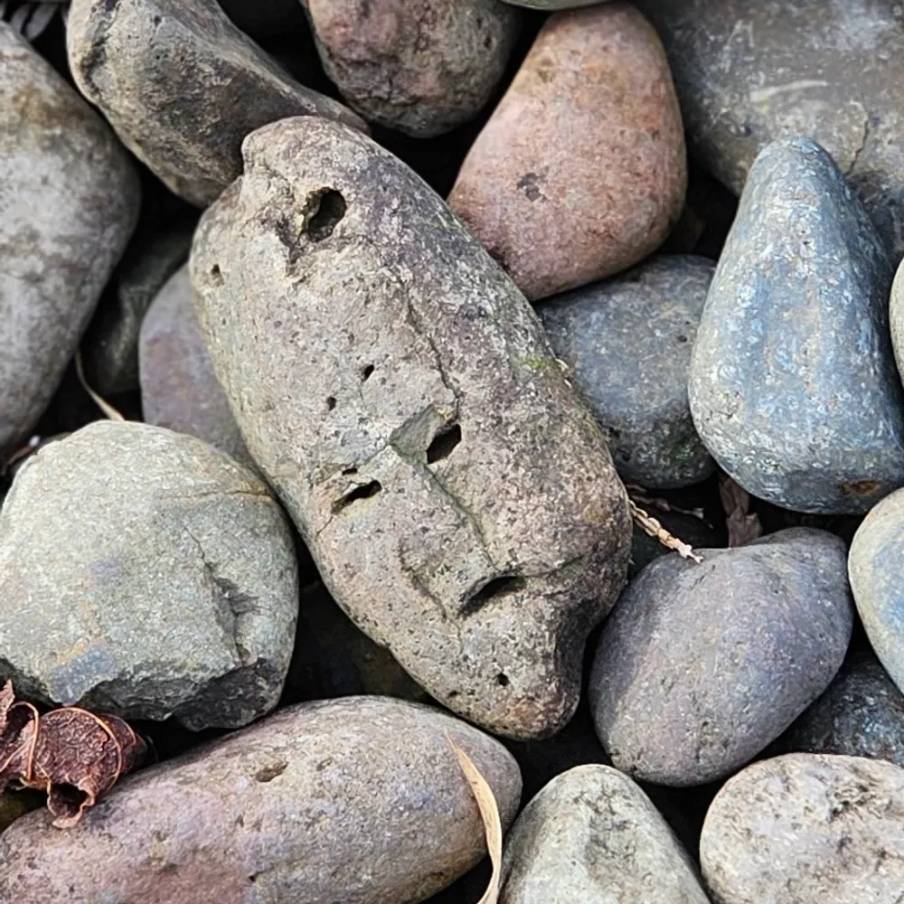 paprikapink.bsky.social's profile picture