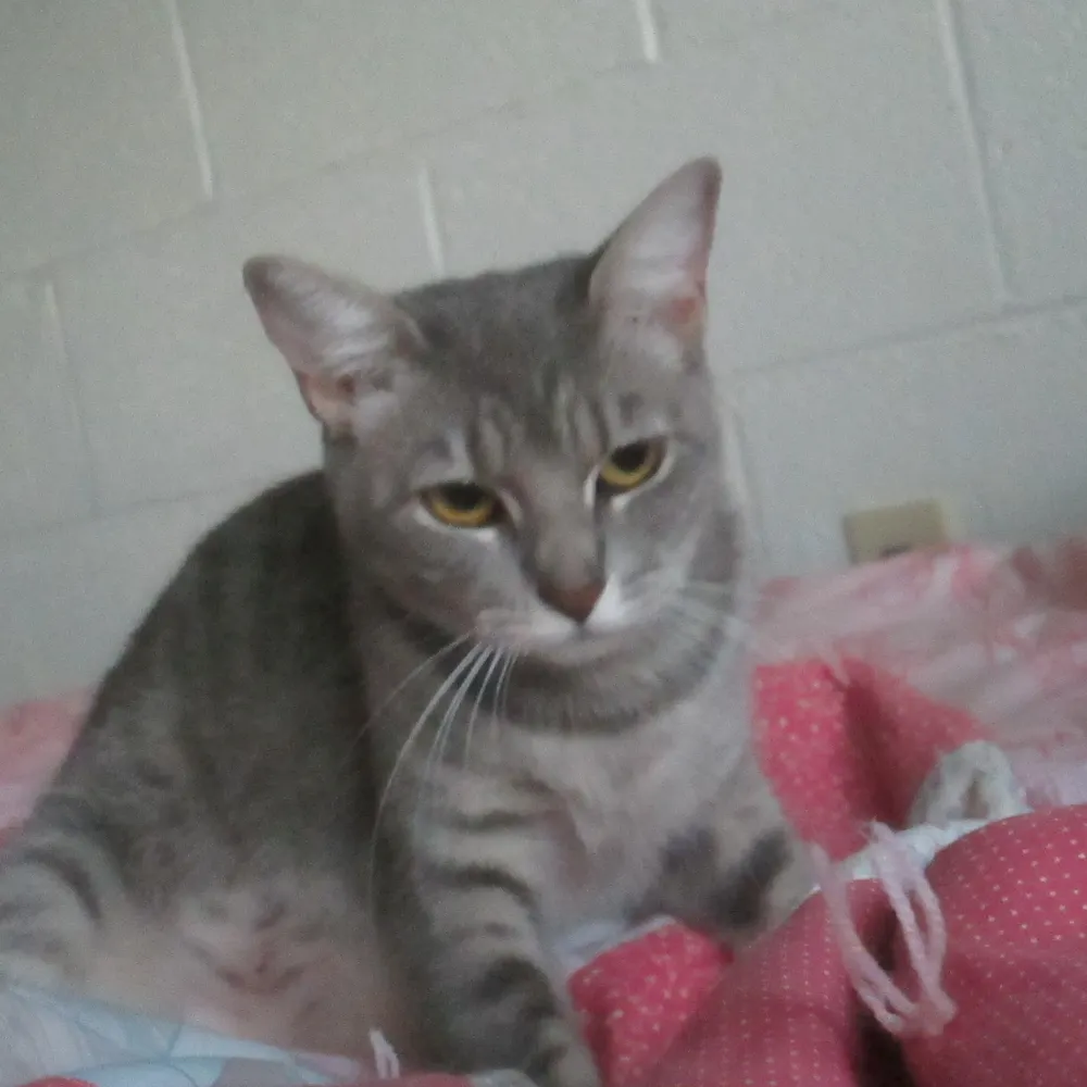 mercyow76.bsky.social's profile picture