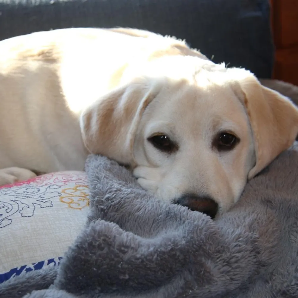 robertaih.bsky.social's profile picture