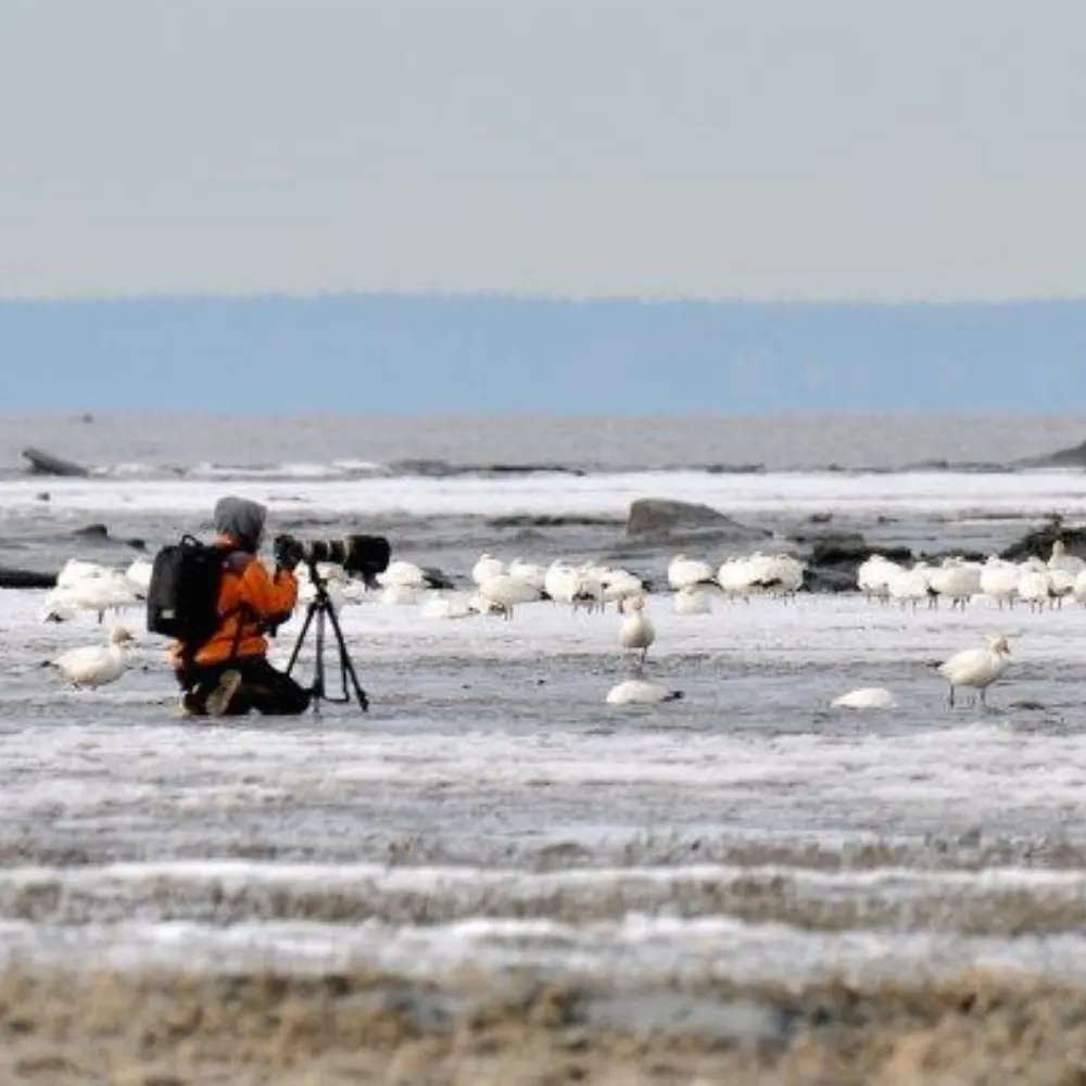 troydeclan.bsky.social's profile picture