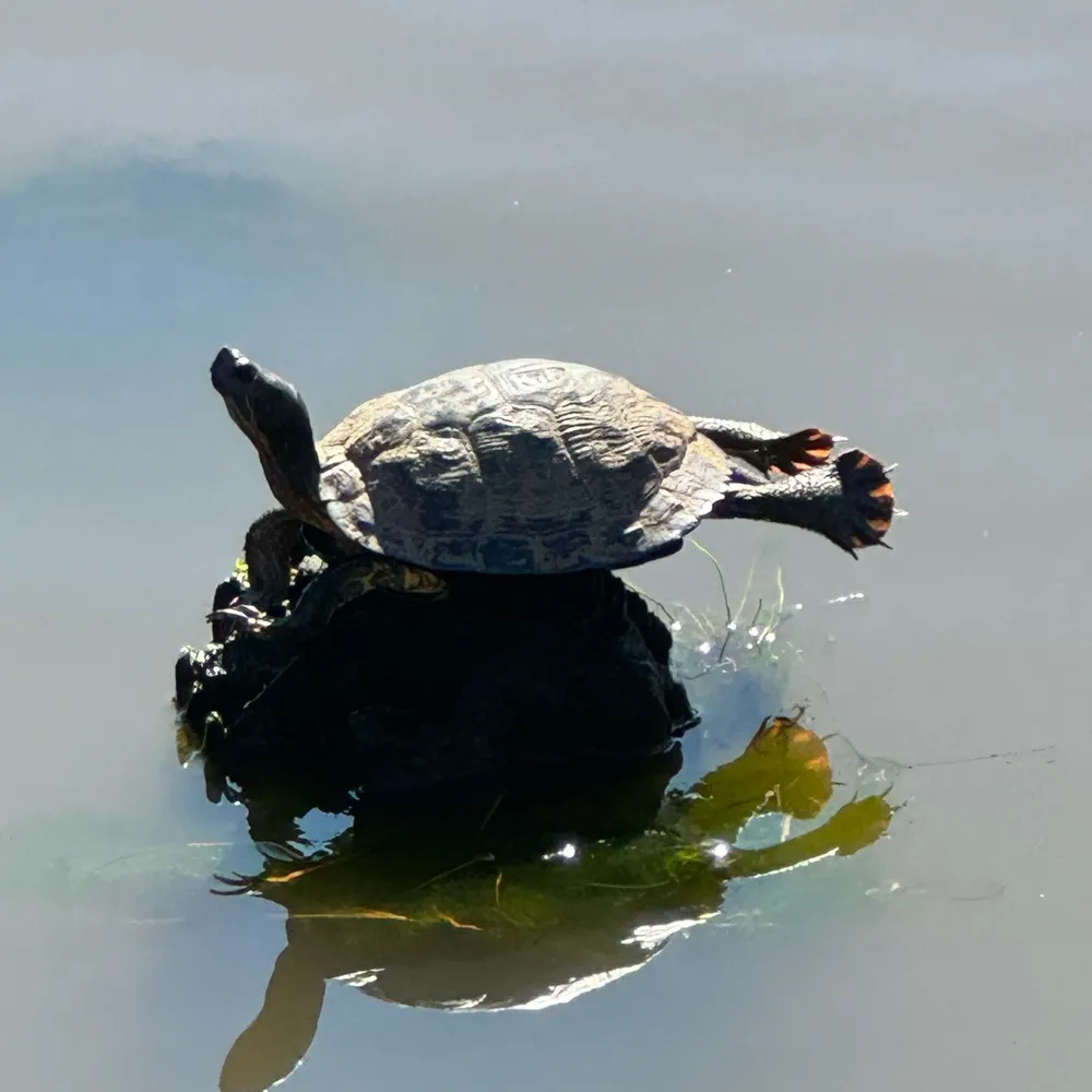 mlw51.bsky.social's profile picture