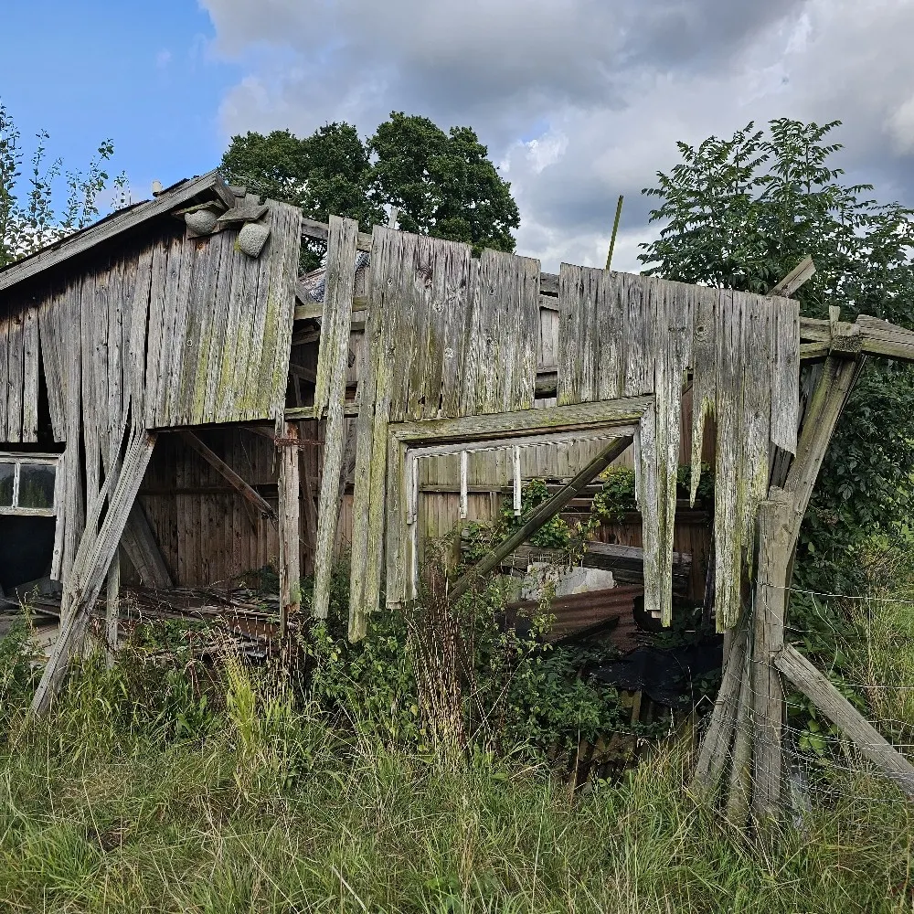 iainb2.bsky.social's profile picture