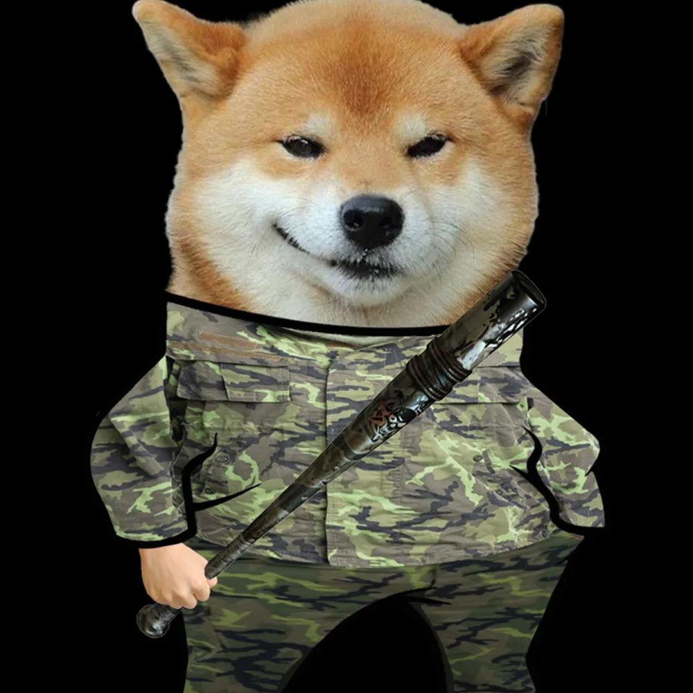 dvodvo.bsky.social's profile picture