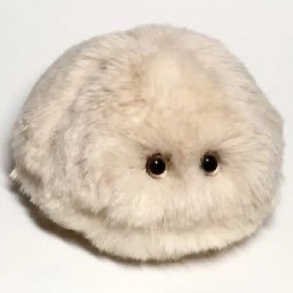 codenebby.bsky.social's profile picture