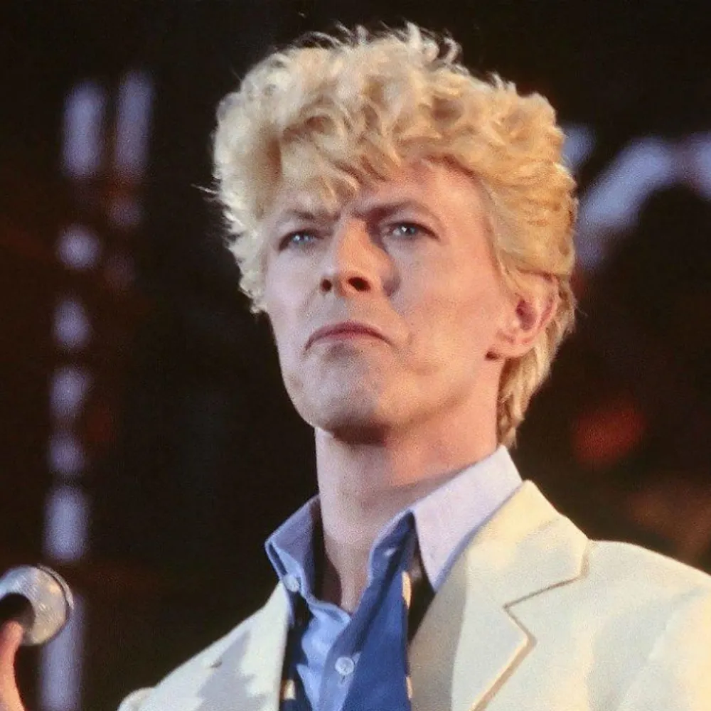 bowieart.bsky.social's profile picture