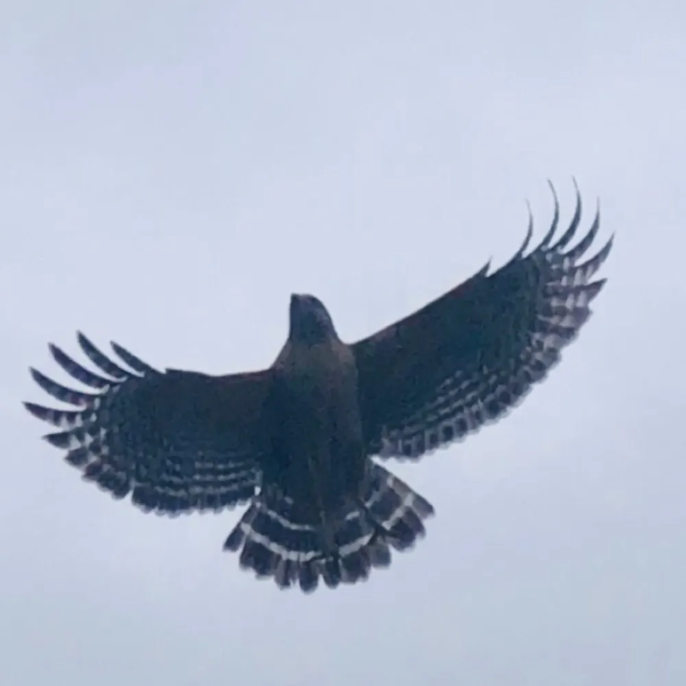 wholelotta1.bsky.social's profile picture