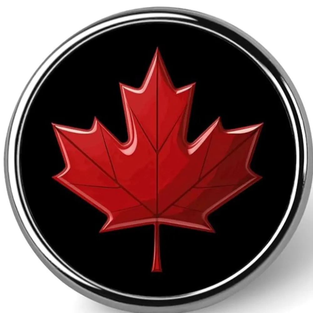 linz13.bsky.social's profile picture