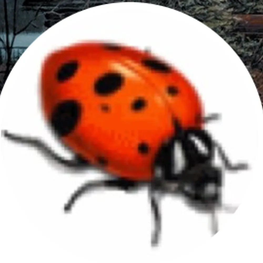 ladybug014.bsky.social's profile picture