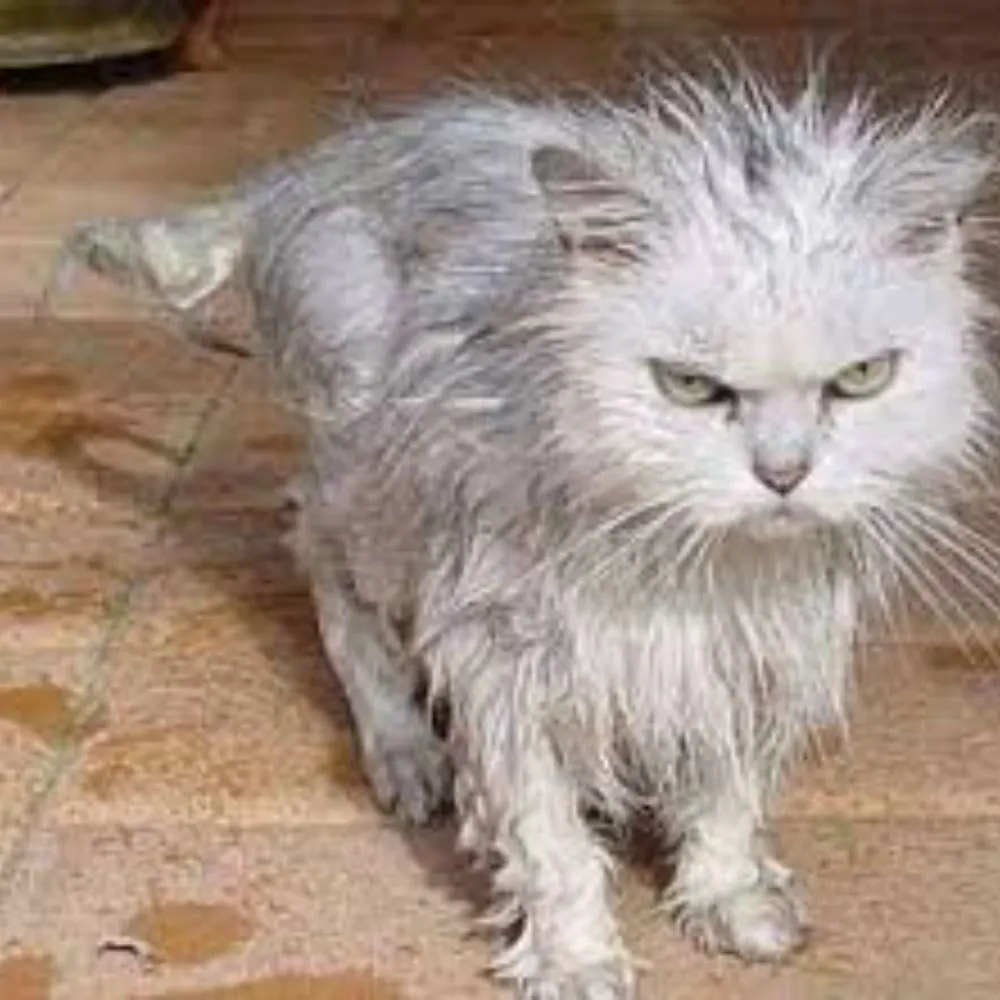 fredasmith.bsky.social's profile picture