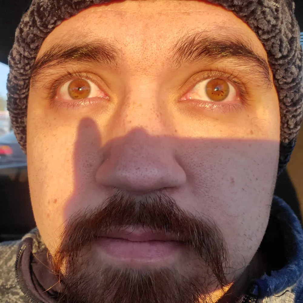 nikdaz.bsky.social's profile picture