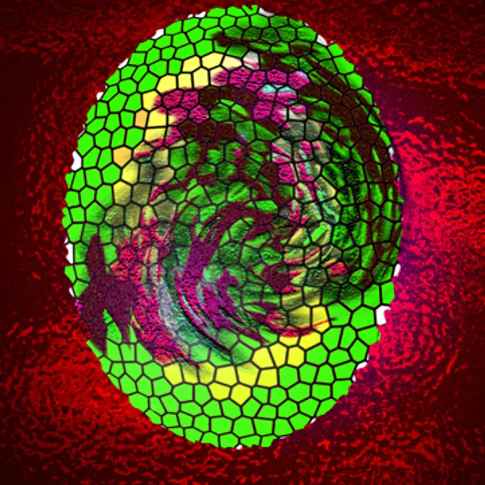 wilyengineer.bsky.social's profile picture