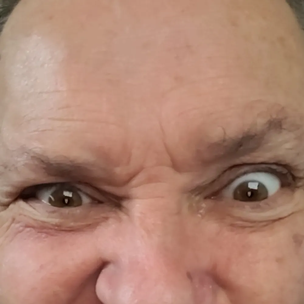 funfan1.bsky.social's profile picture