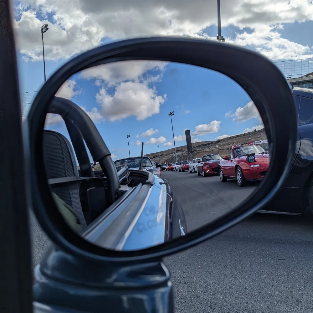 crispytoad.bsky.social's profile picture