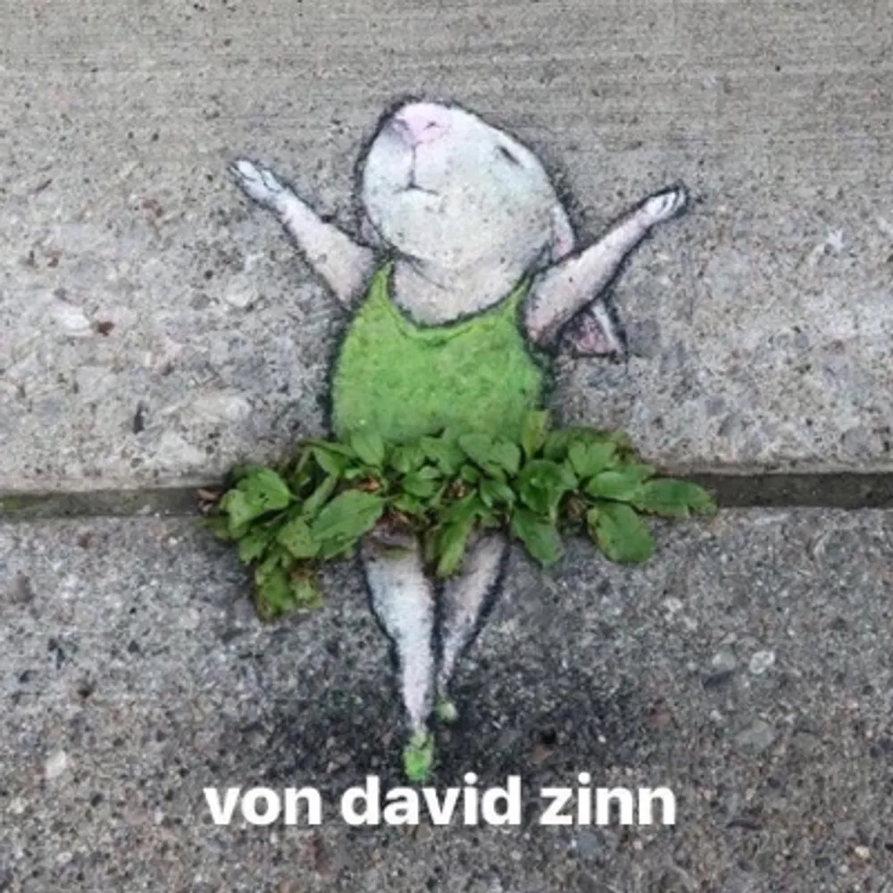 tillyly.bsky.social's profile picture