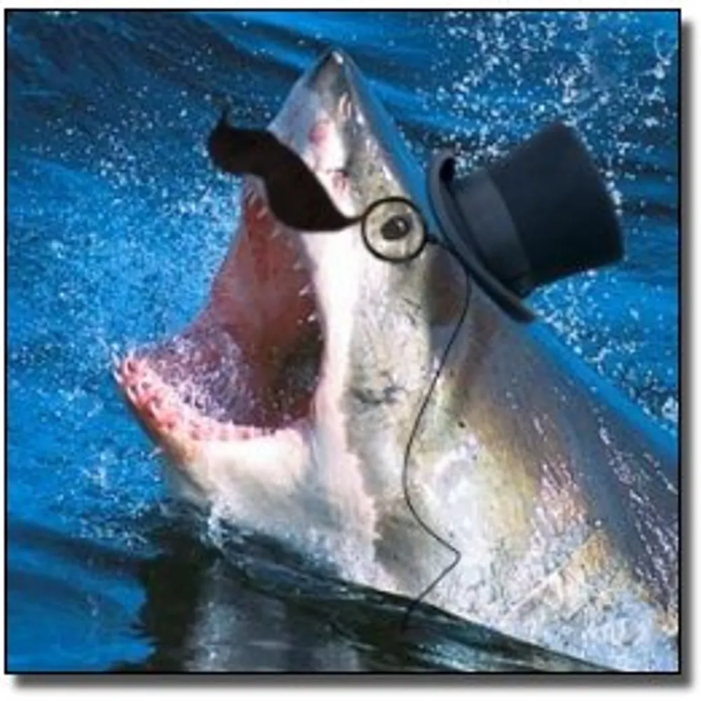 embracebecoming.bsky.social's profile picture