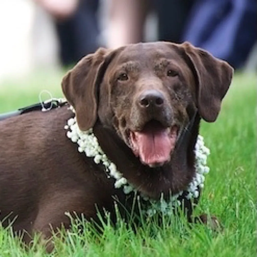 bellathelab.bsky.social's profile picture