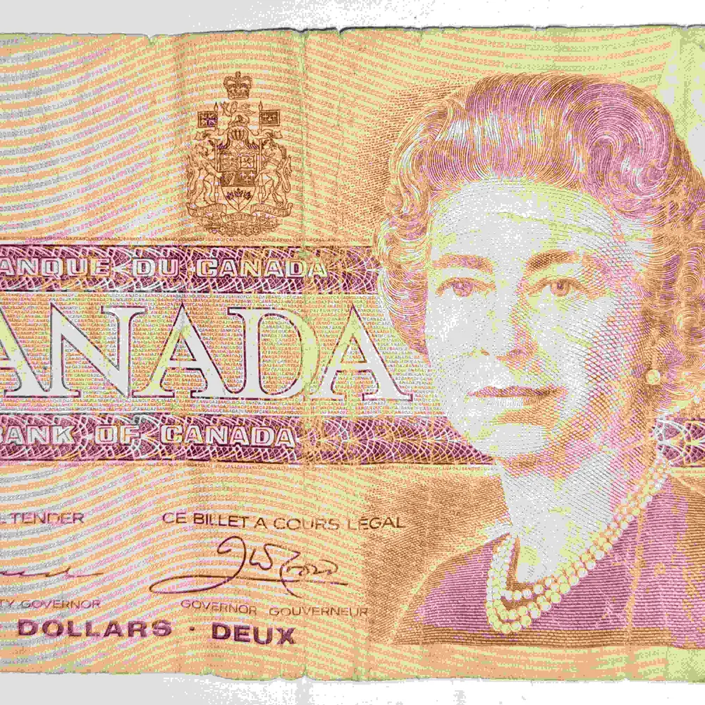 the-ignored.bsky.social's profile picture