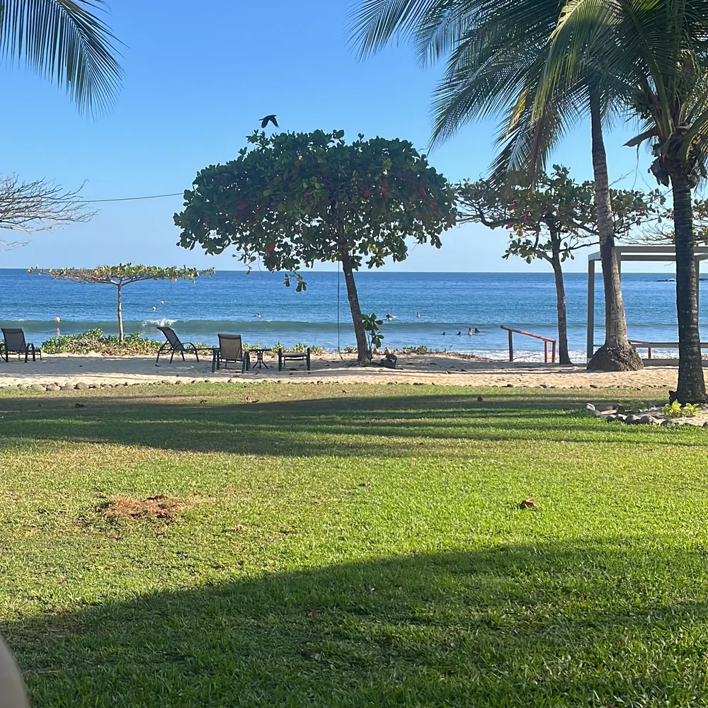 iggy67392.bsky.social's profile picture