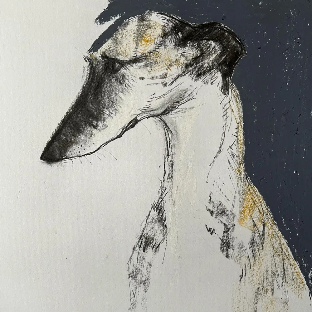 greytdog.bsky.social's profile picture