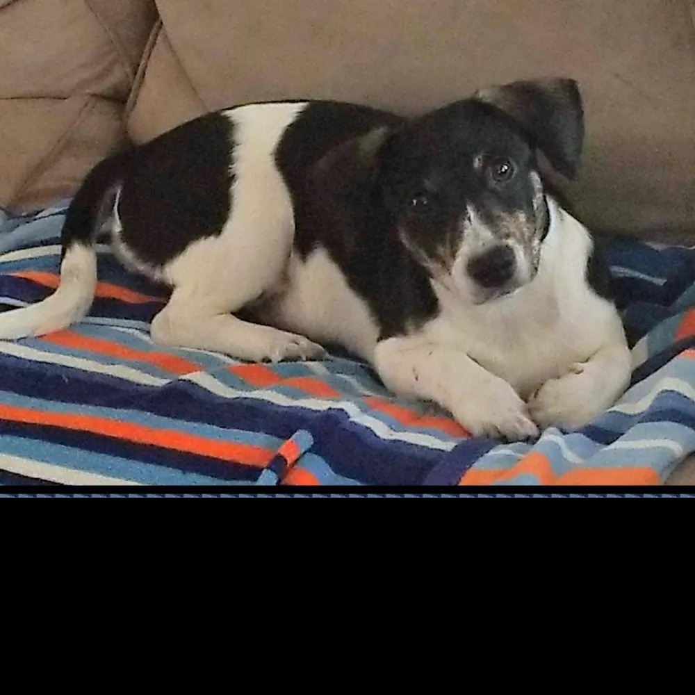 mikeincalidesert.bsky.social's profile picture