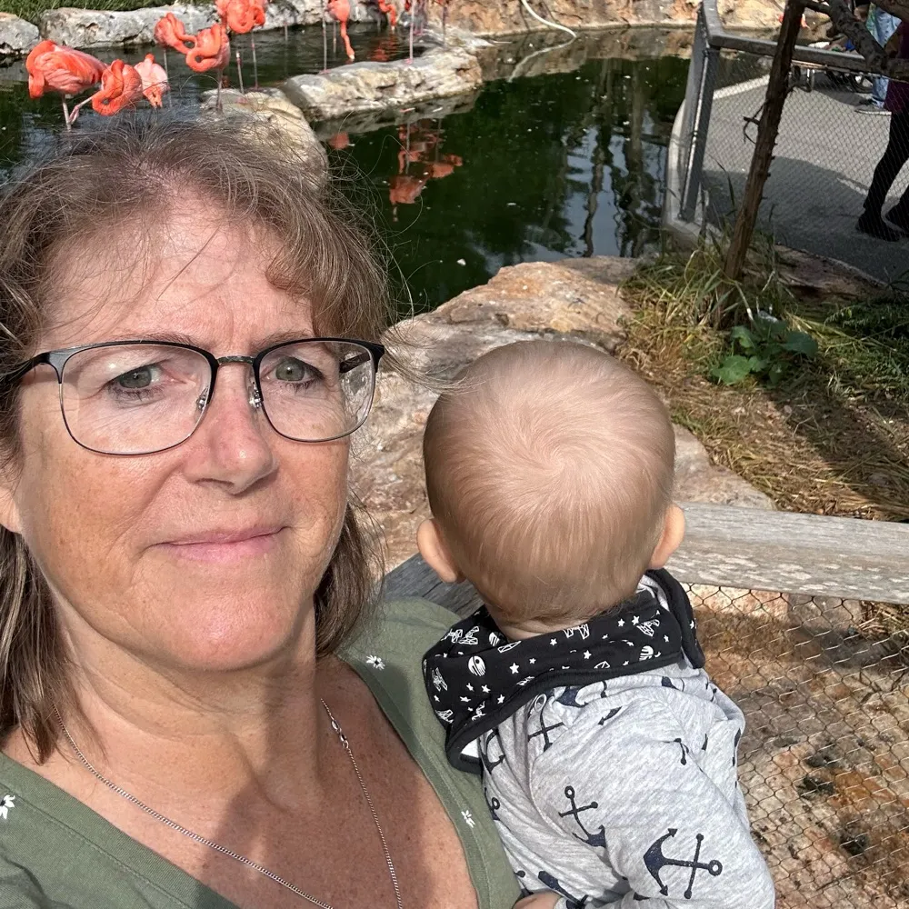 carolita.bsky.social's profile picture