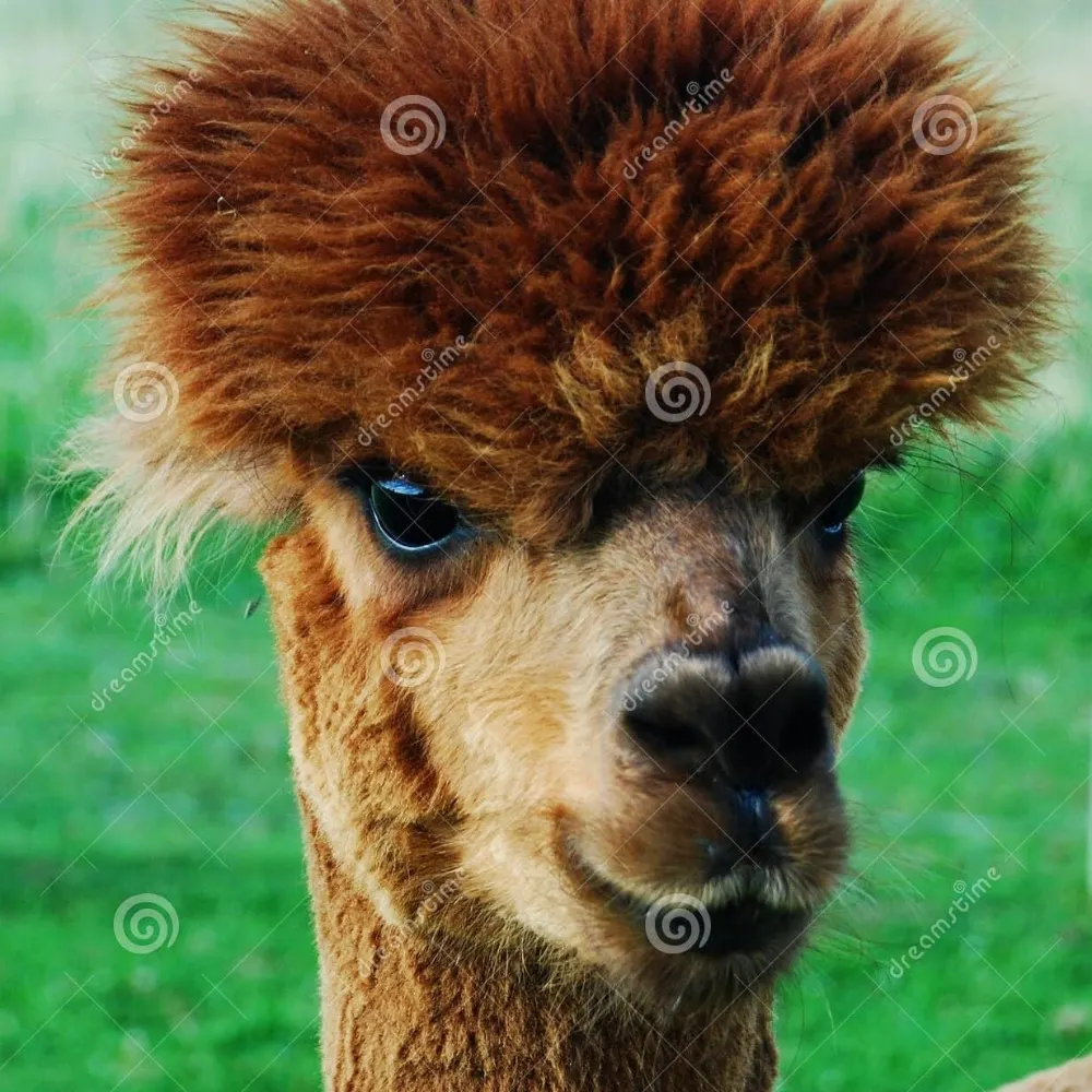 biasfuck.bsky.social's profile picture