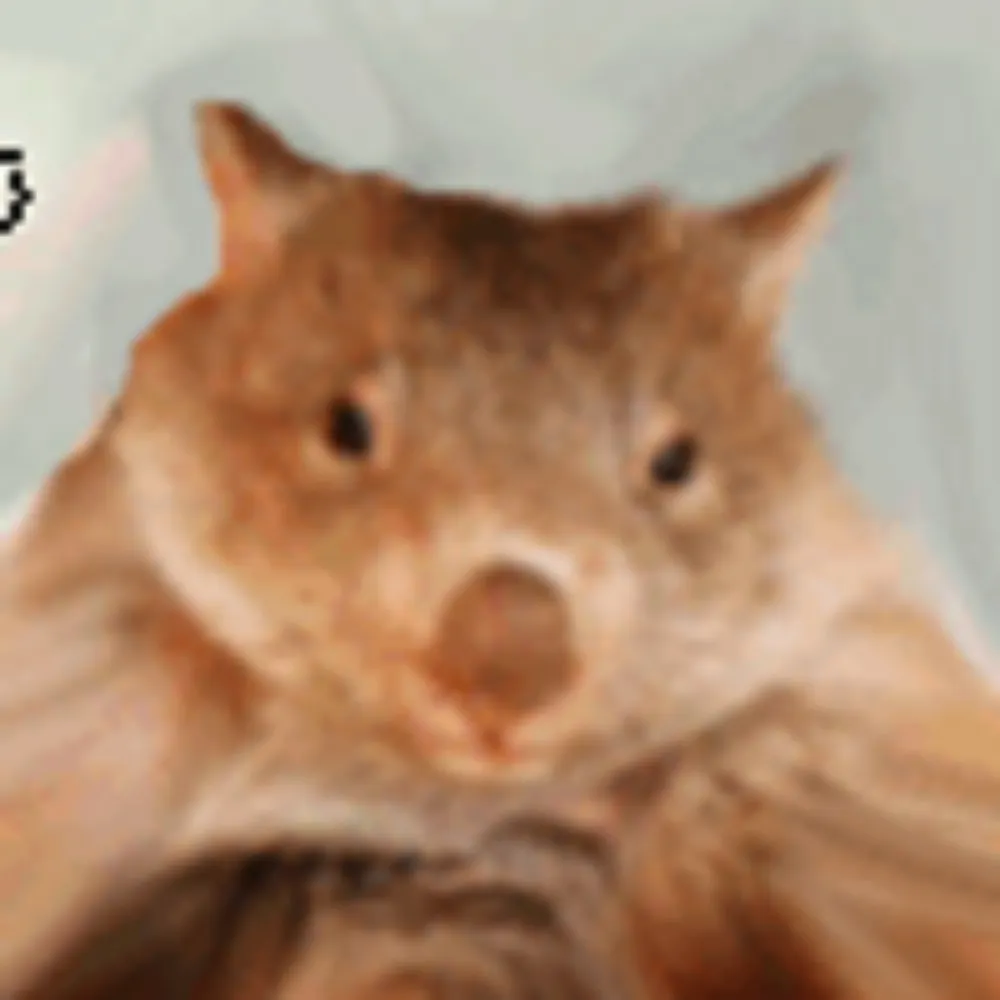 dustywombat.bsky.social's profile picture