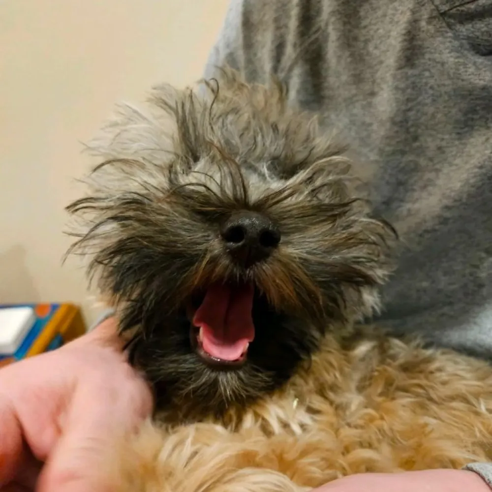 nlsmith.com's profile picture