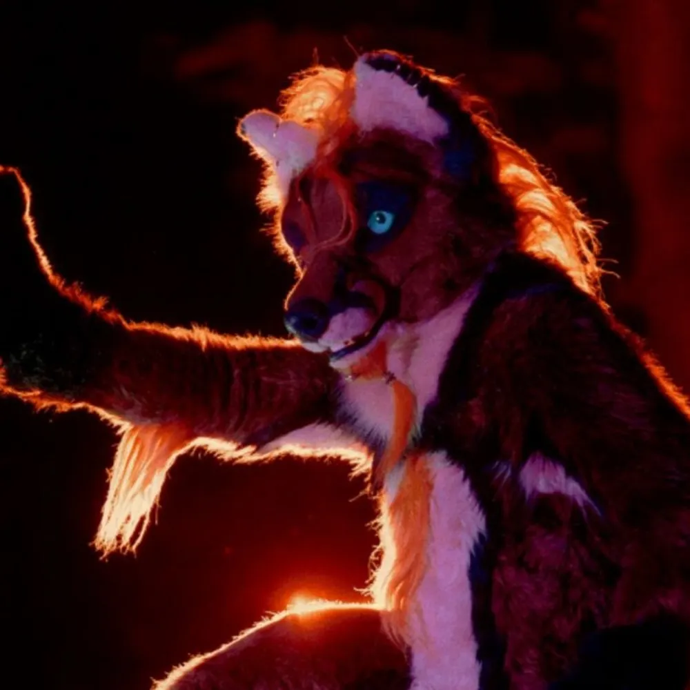 dogwithknot.bsky.social's profile picture