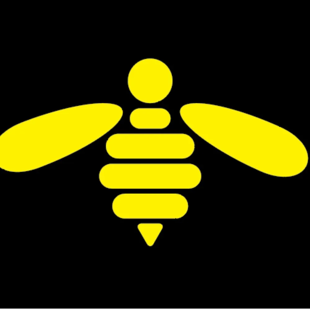 lizziebeez.bsky.social's profile picture