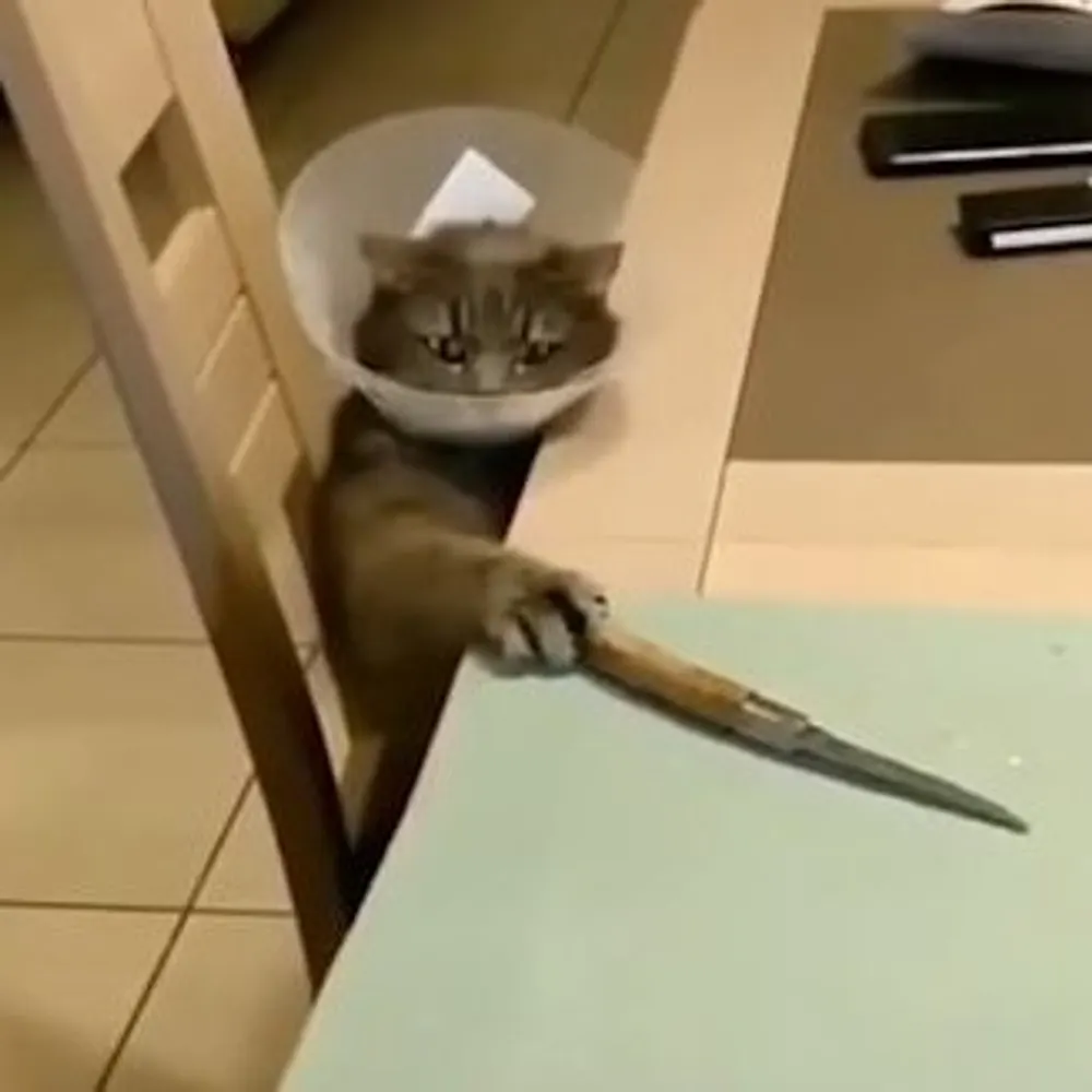 lakecounty1975.bsky.social's profile picture