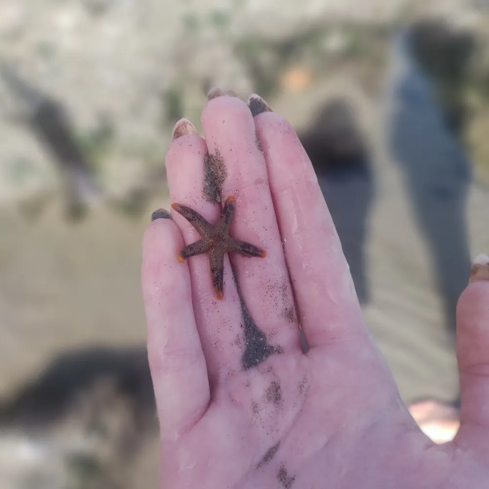 seamiracles.bsky.social's profile picture