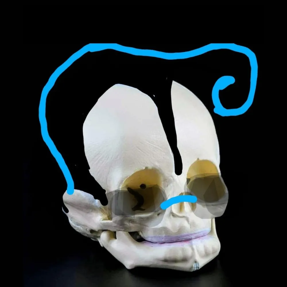 calumbroughingham.bsky.social's profile picture