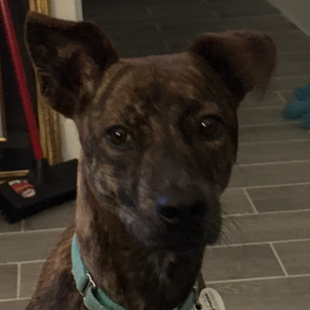 donthecon-2.bsky.social's profile picture