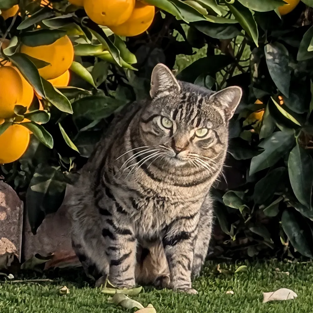 justin42.bsky.social's profile picture