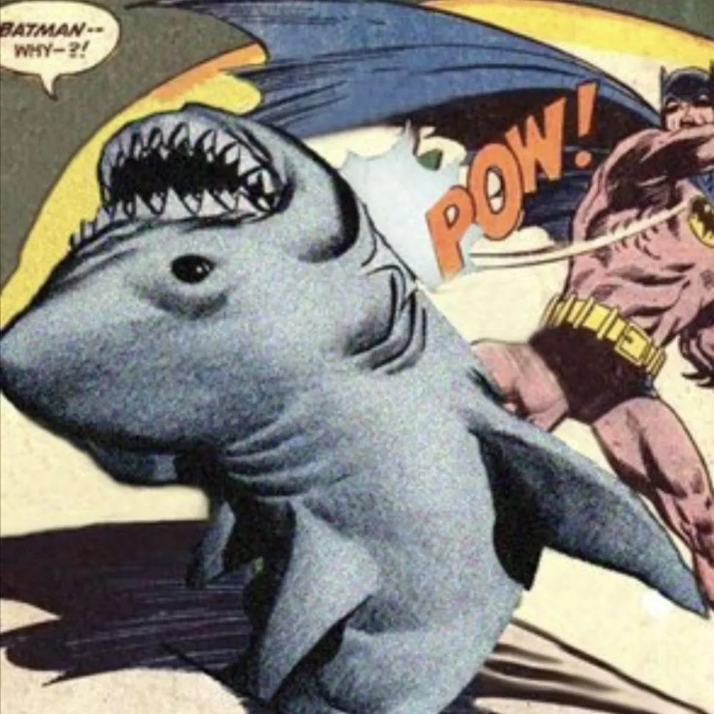 meelar.bsky.social's profile picture