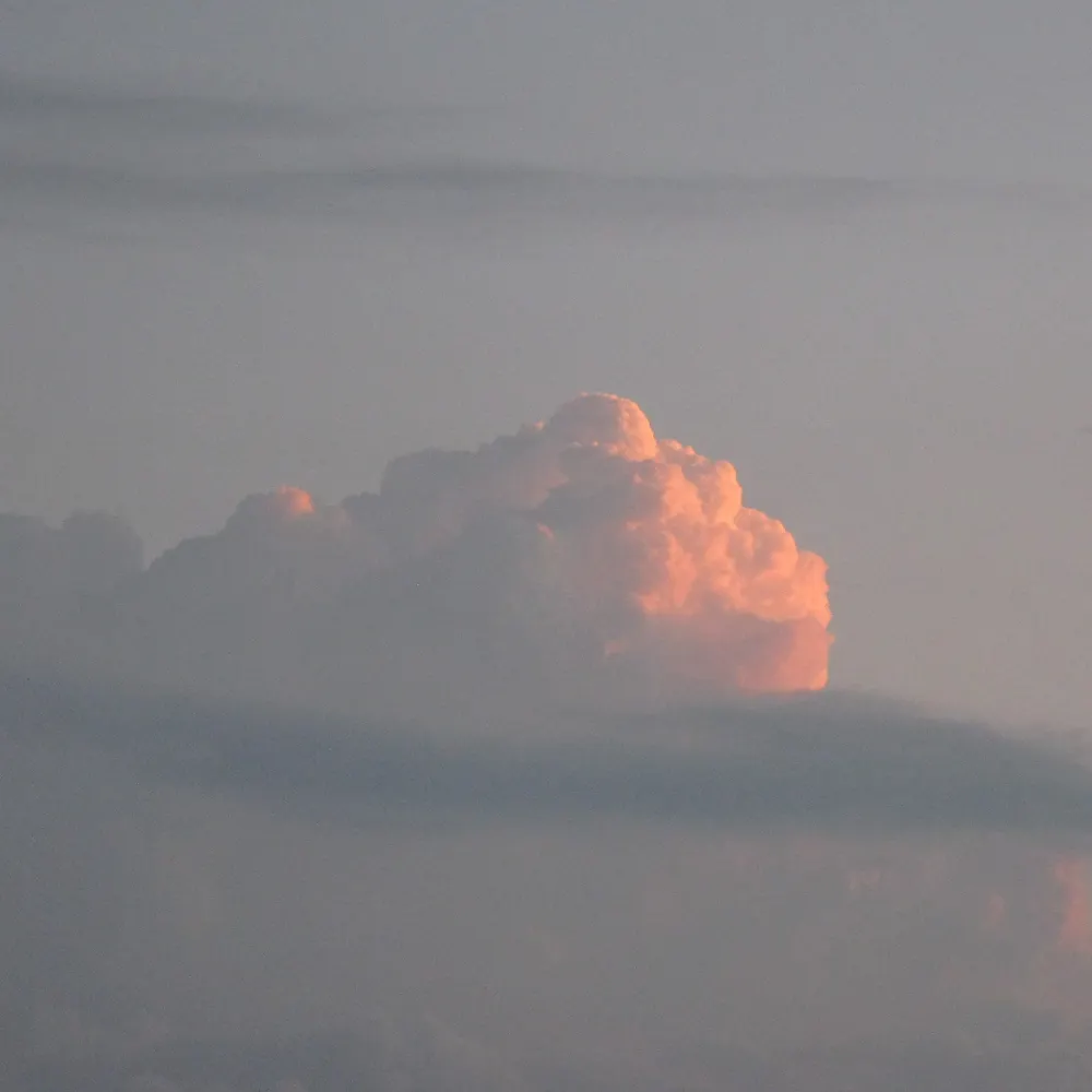 blueheart-here.bsky.social's profile picture