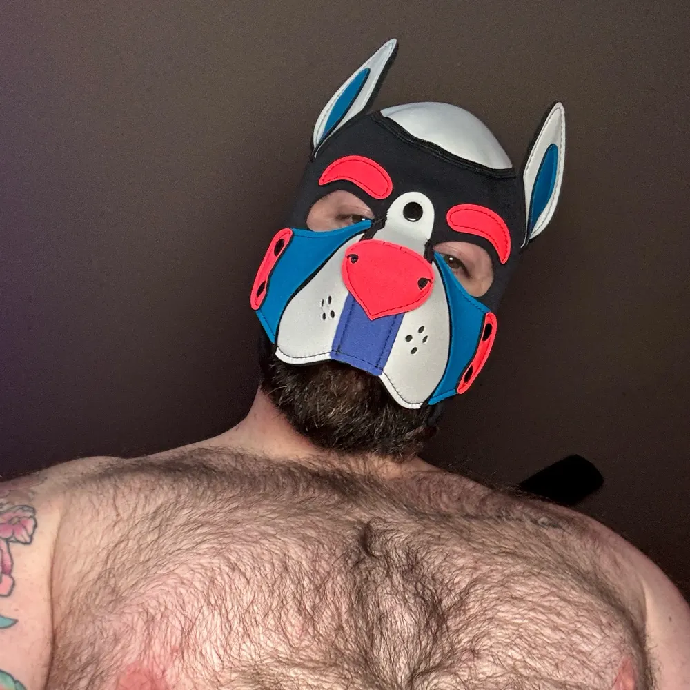 descovyschild.slut.dog's profile picture