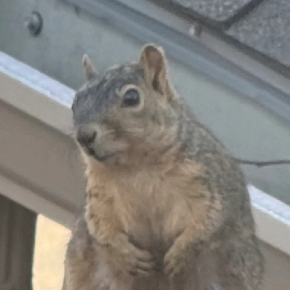 oneaaronofmany.bsky.social's profile picture