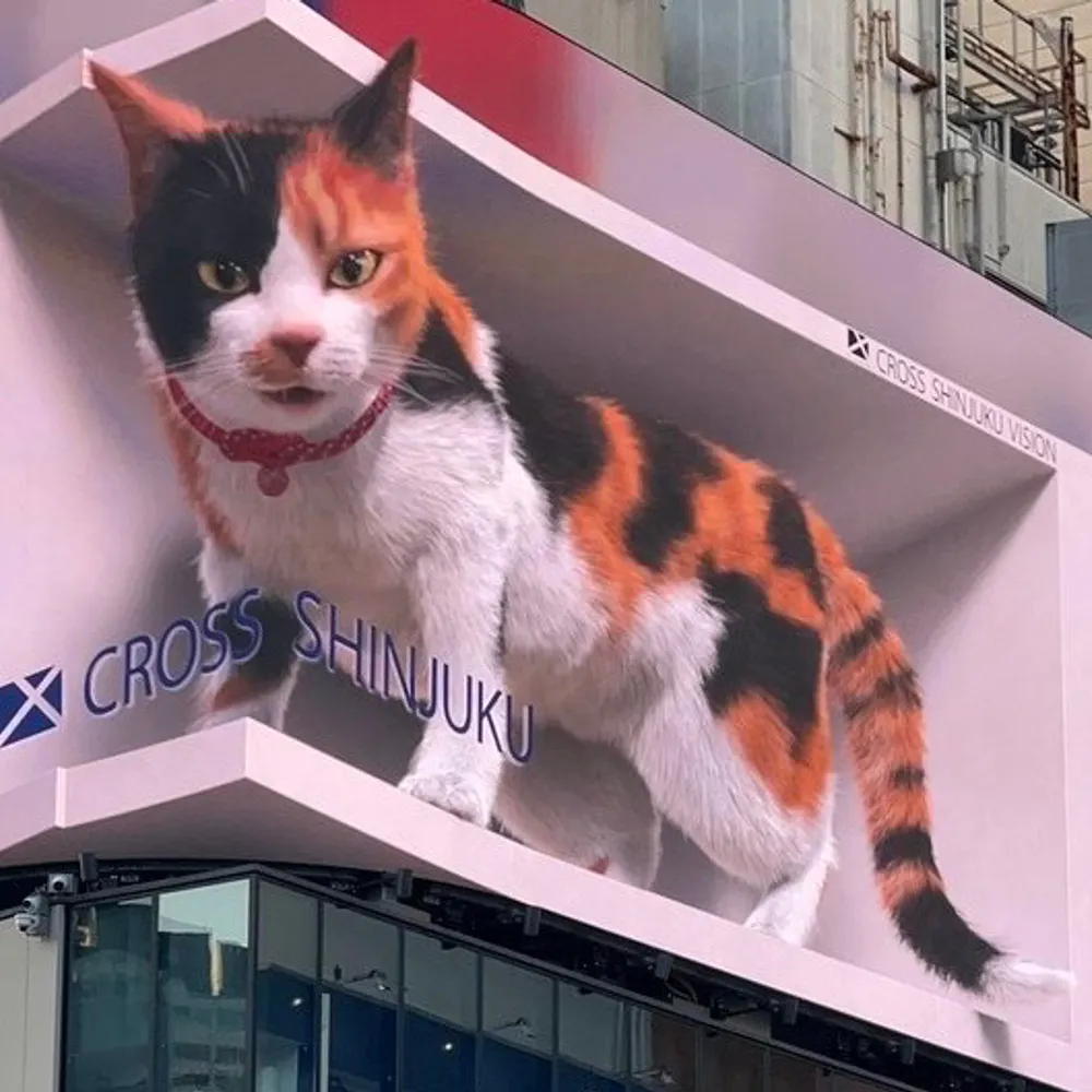 tempura13.bsky.social's profile picture