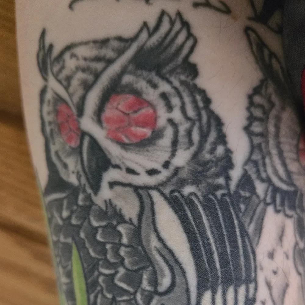 blue-jay.bsky.social's profile picture