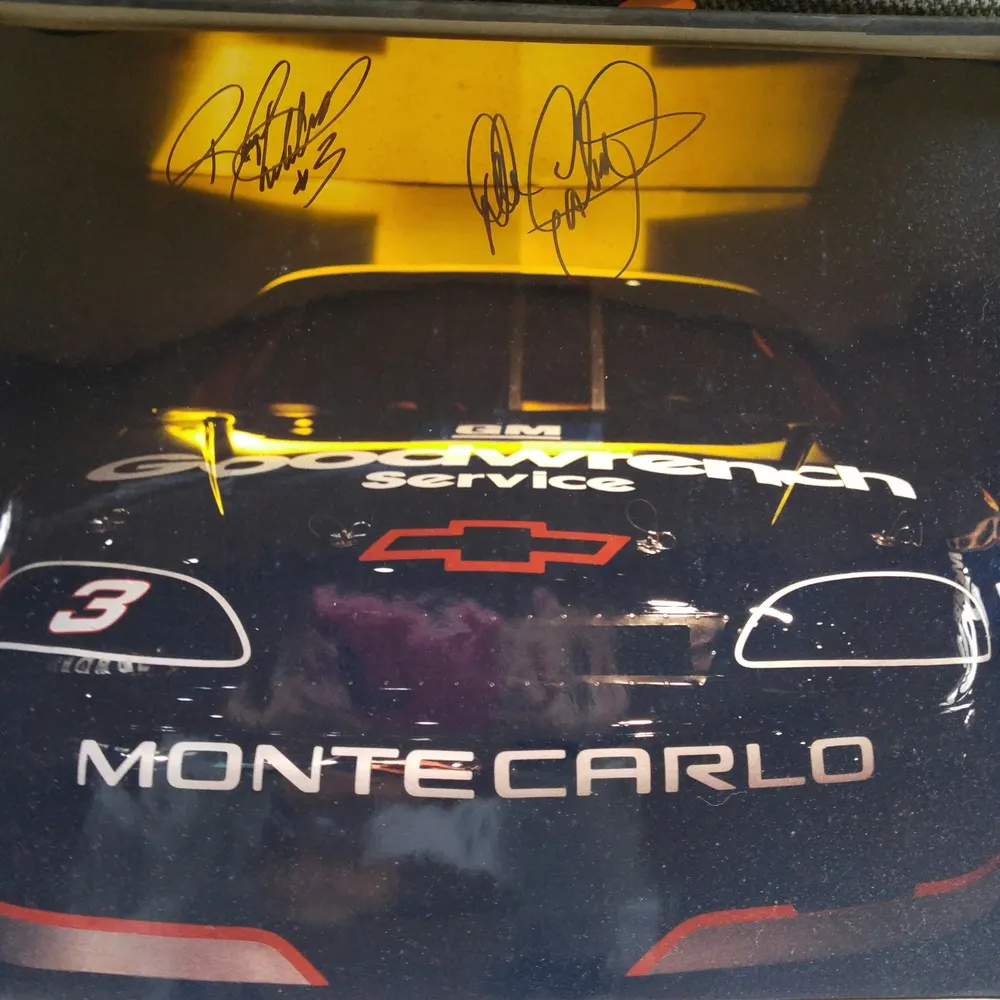 stillraptor.bsky.social's profile picture