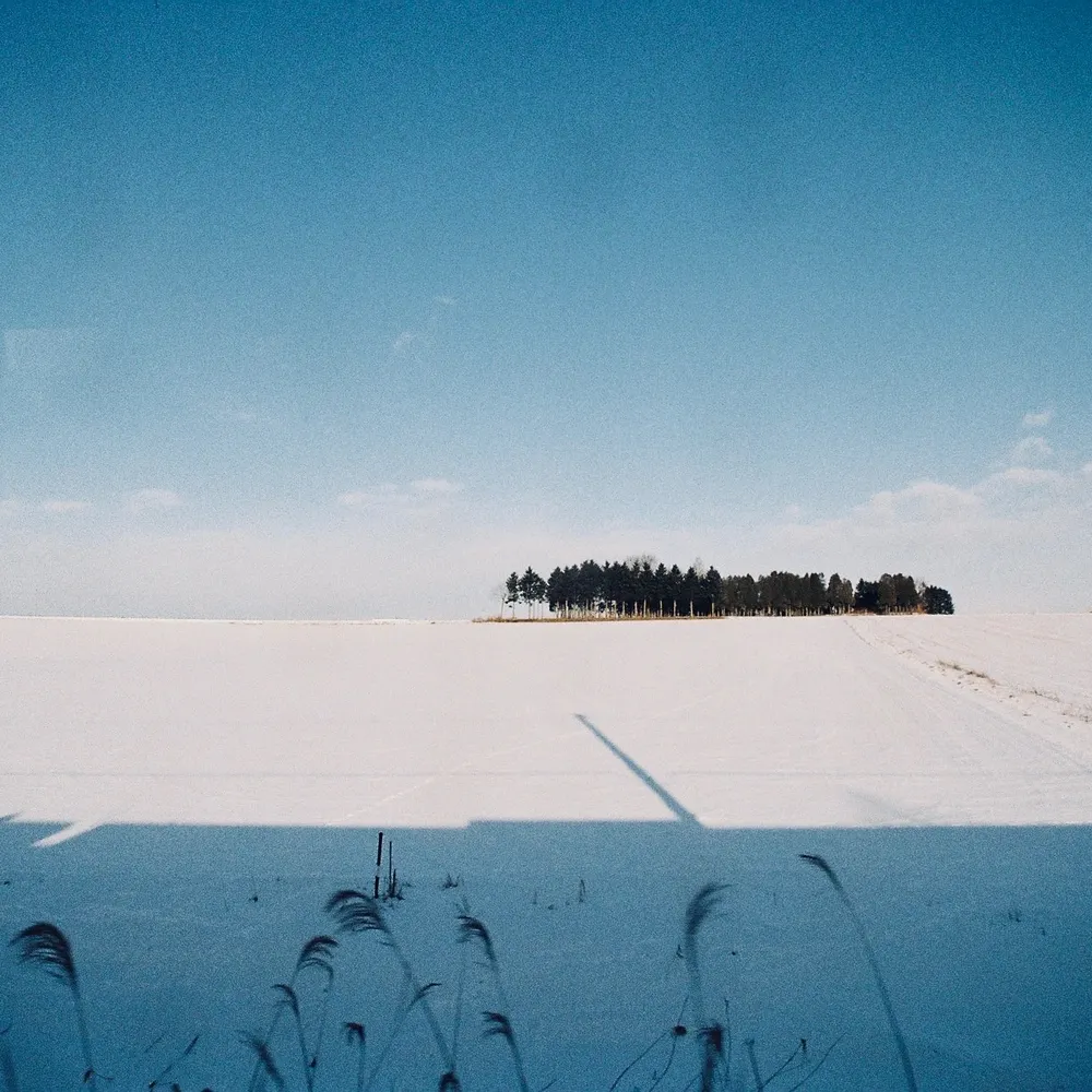 alfile.bsky.social's profile picture