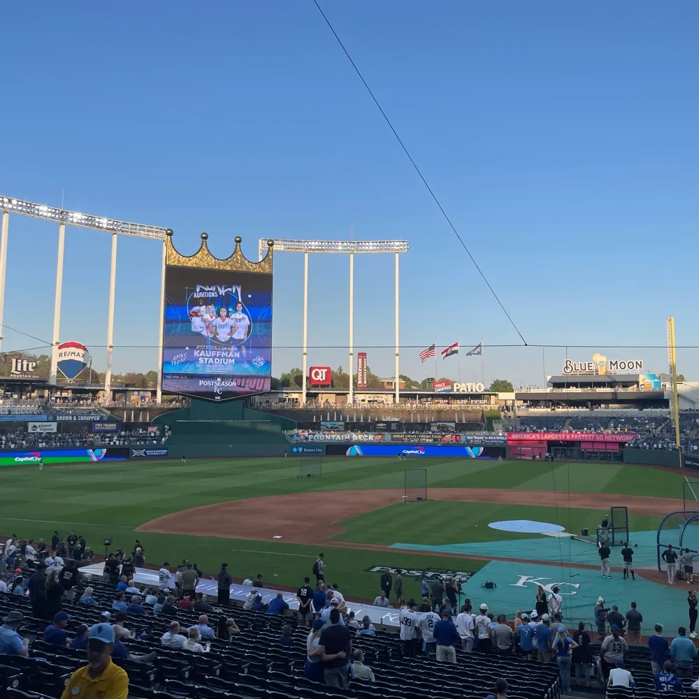 royalsprof.bsky.social's profile picture