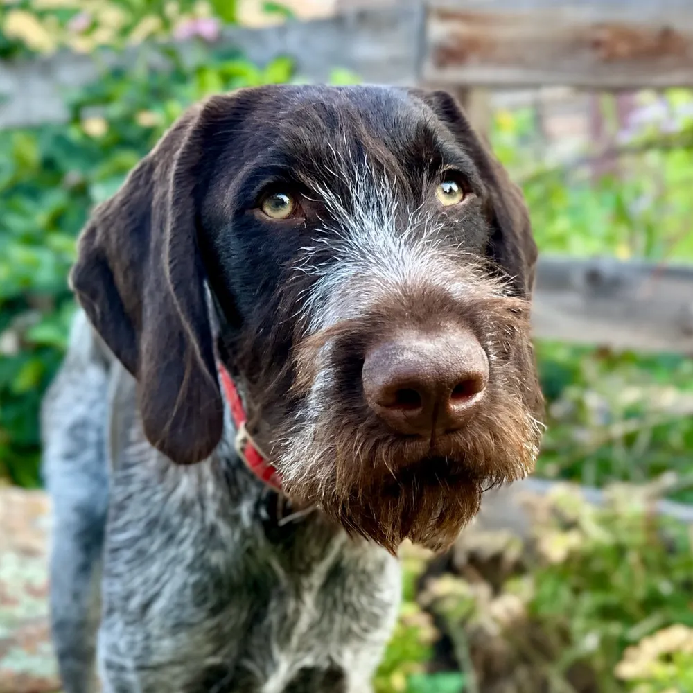 4x6.bsky.social's profile picture