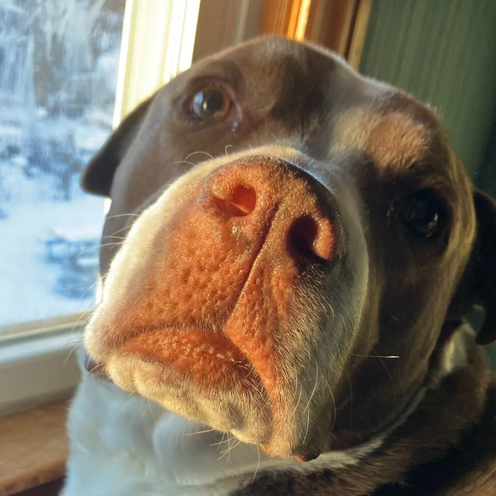 timjacko.bsky.social's profile picture